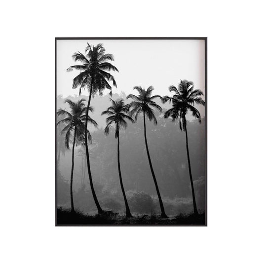Palm trees - THE WALL STYLIST
