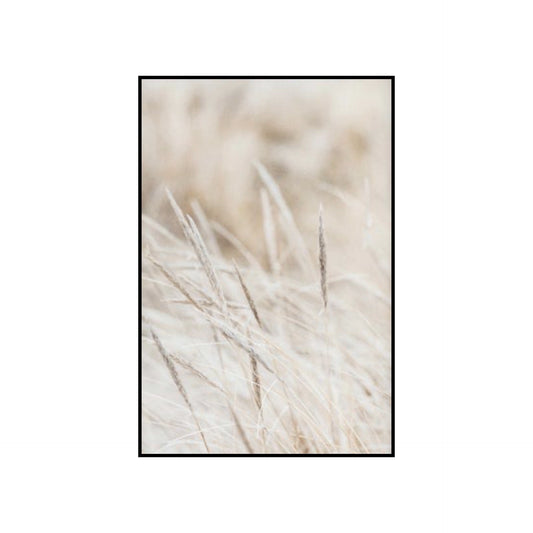 Dried reeds