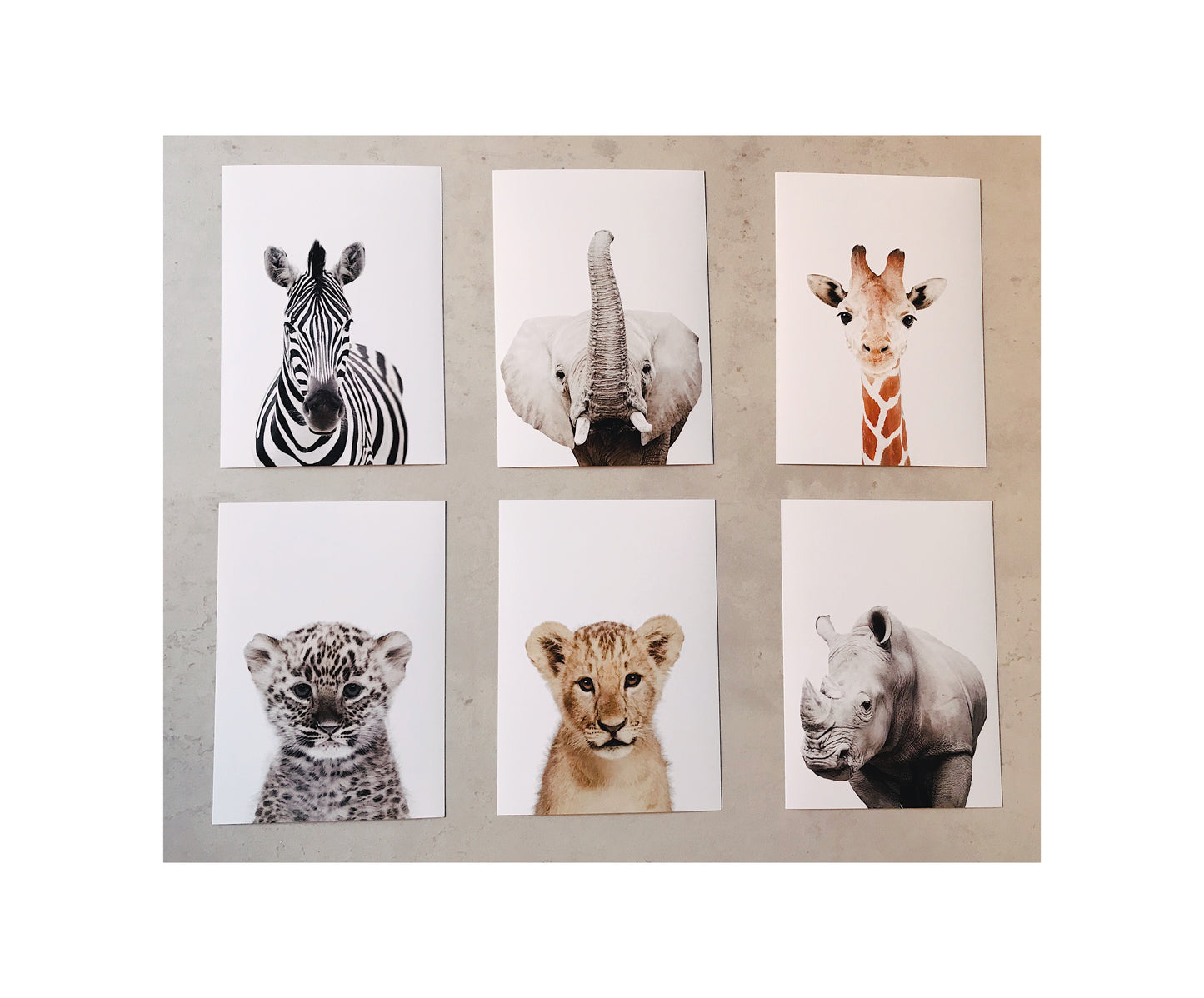 Safari nursery prints (individuals) - THE WALL STYLIST