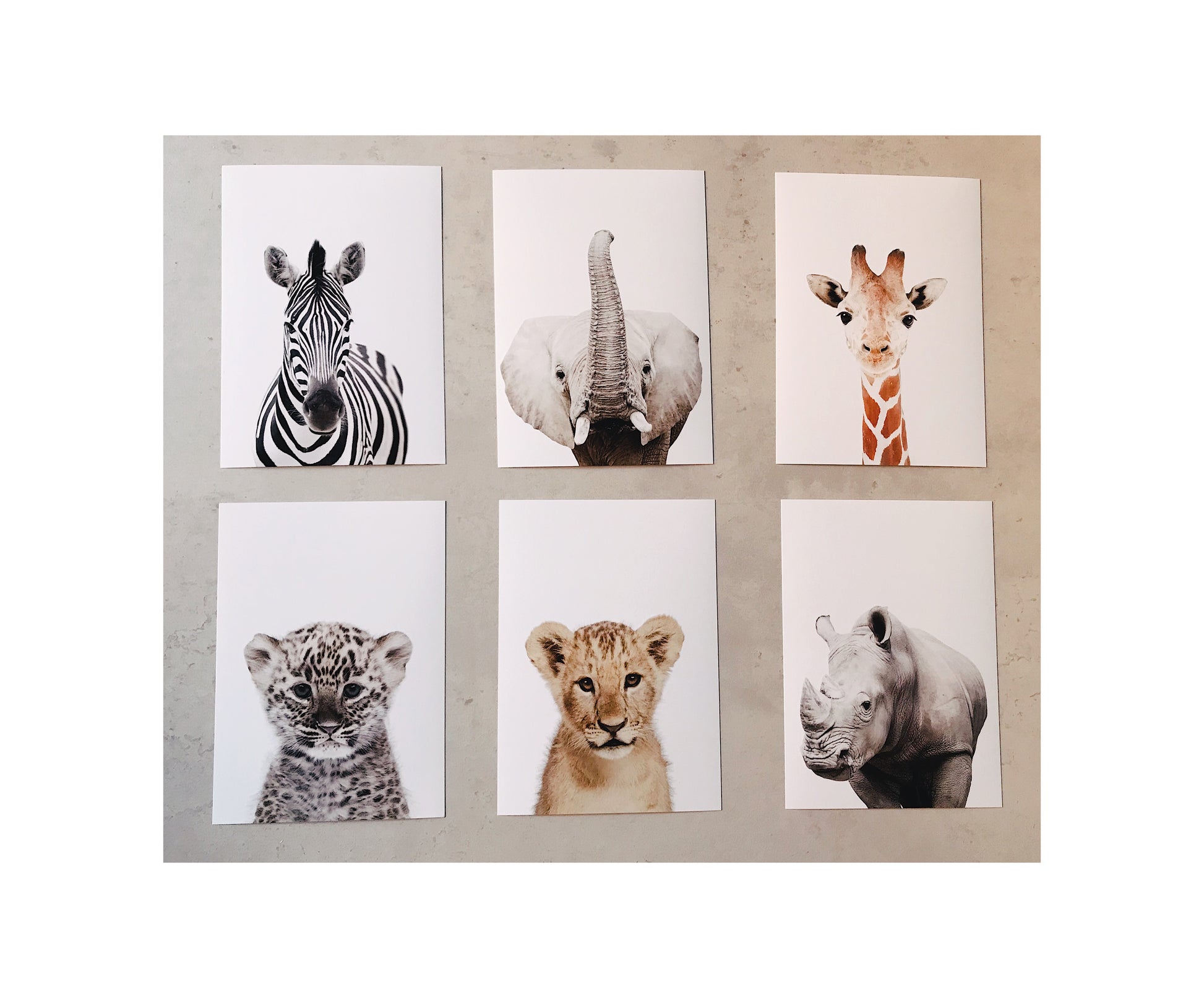 Safari nursery prints (individuals) - THE WALL STYLIST
